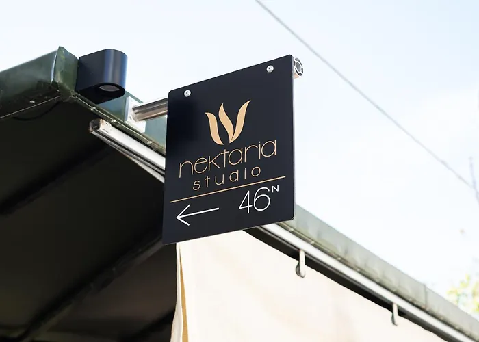 公寓 Nektaria 干尼亞